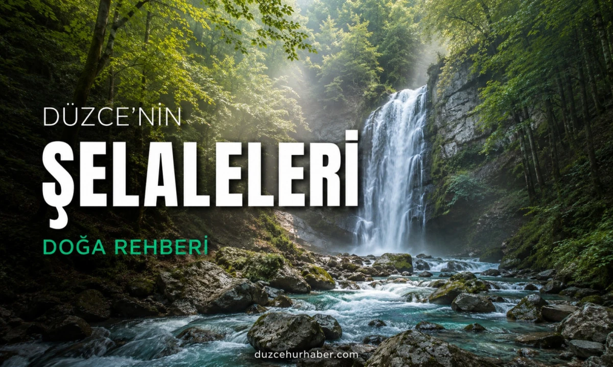 Düzce Şelaleleri Rehberi: Bilinen Tüm Şelaleler ve Doğa Rotaları