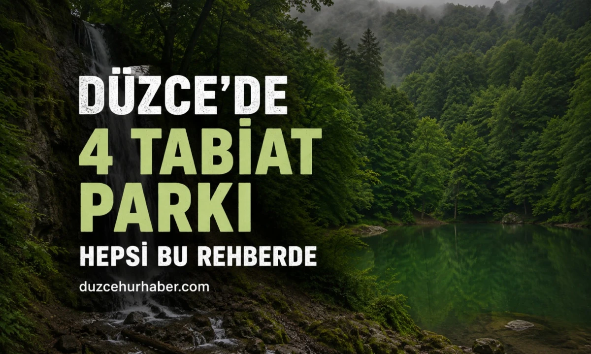 Düzce’de Kaç Tabiat Parkı Var? İsimleri, Özellikleri ve Ziyaret Rehberi