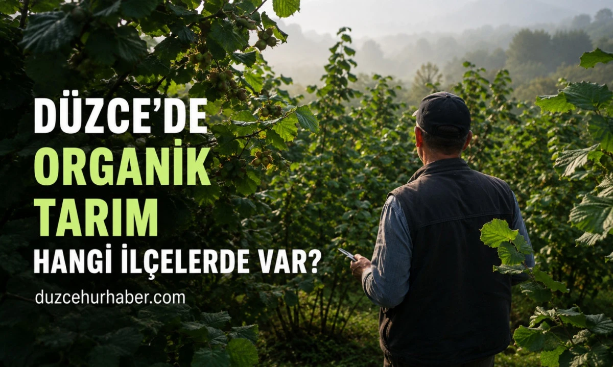 Düzce'de Organik Tarım Nerede Yapılıyor? Hangi İlçelerde Var?