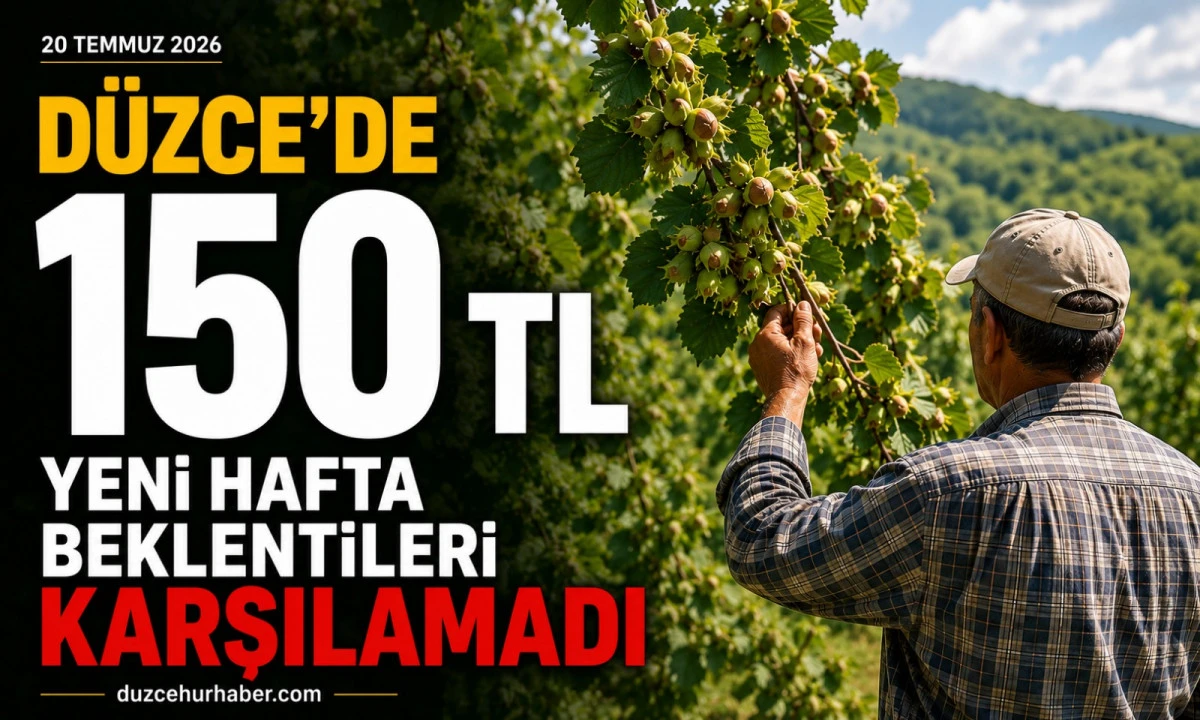 Düzce Fındık Fiyatları 20 Temmuz 2026: Yeni Hafta Üreticiyi Umutlandırmadı! Gözler Rekolte Tahminlerinde