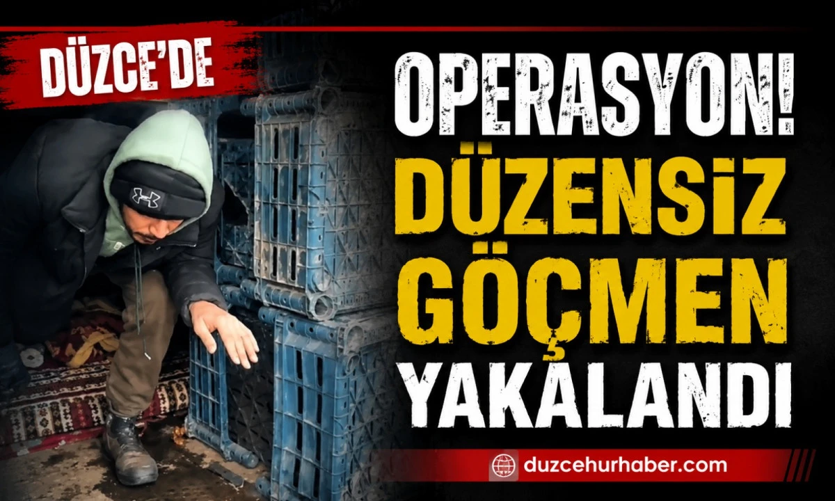 Düzce'de Yasa Dışı Yollarla Giriş Yapan Düzensiz Göçmen Yakalandı
