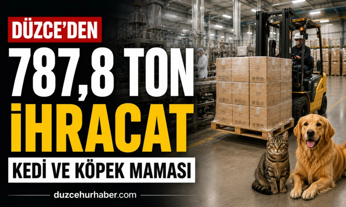 Düzce'den 6 Ayda 787,8 Ton Kedi ve Köpek Maması İhracatı
