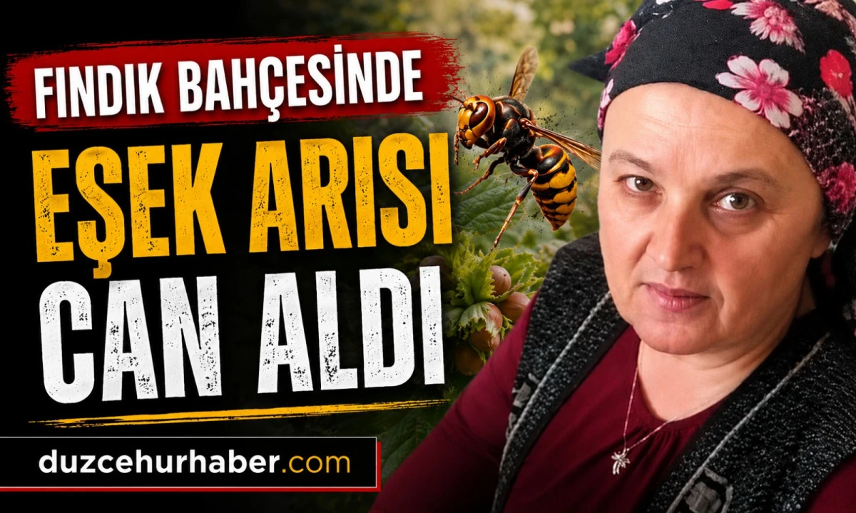 Fındık Bahçesinde Eşek Arısı Soktu: 57 Yaşındaki Kadın Hayatını Kaybetti