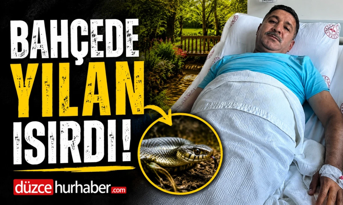 Bahçede Yılan Isırdı! O Anları Böyle Anlattı
