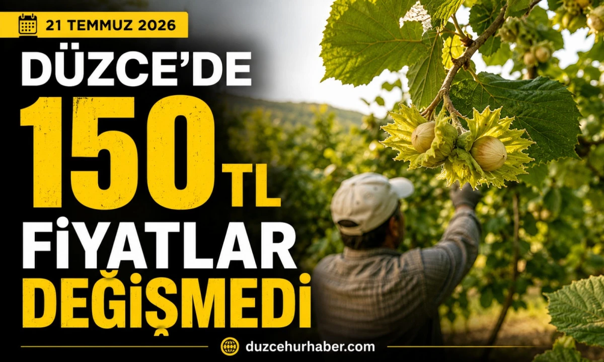 Düzce Fındık Fiyatları 21 Temmuz 2026: 150 TL Seviyesi Korunuyor! Piyasada Son Durum