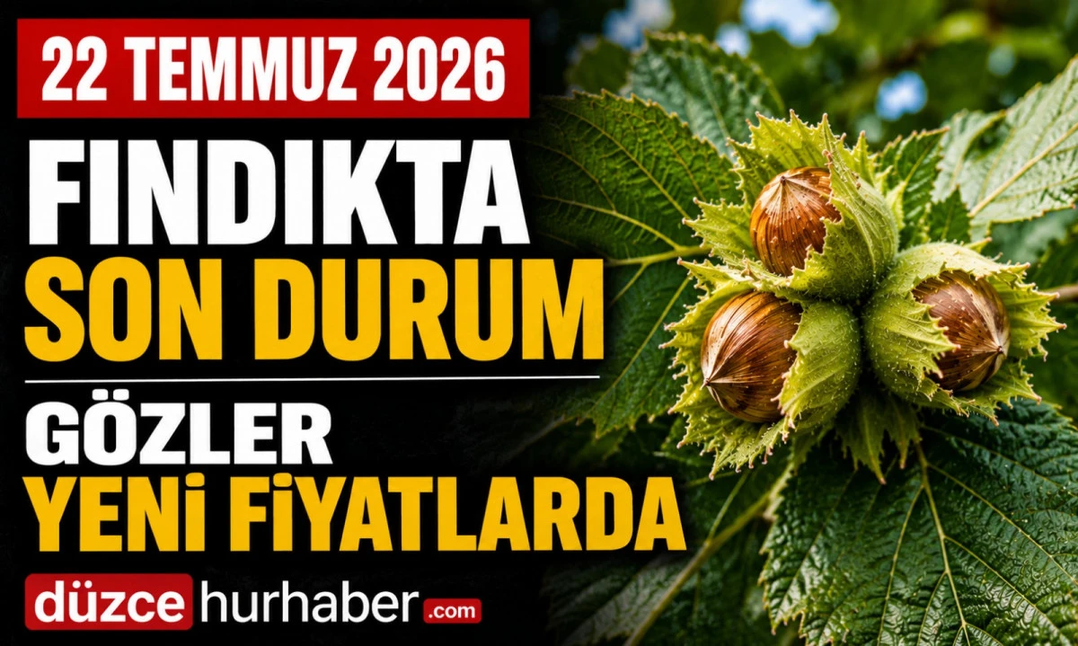 Düzce Fındık Fiyatları 22 Temmuz 2026: Piyasada Gözler Yeni Fiyat Hareketinde
