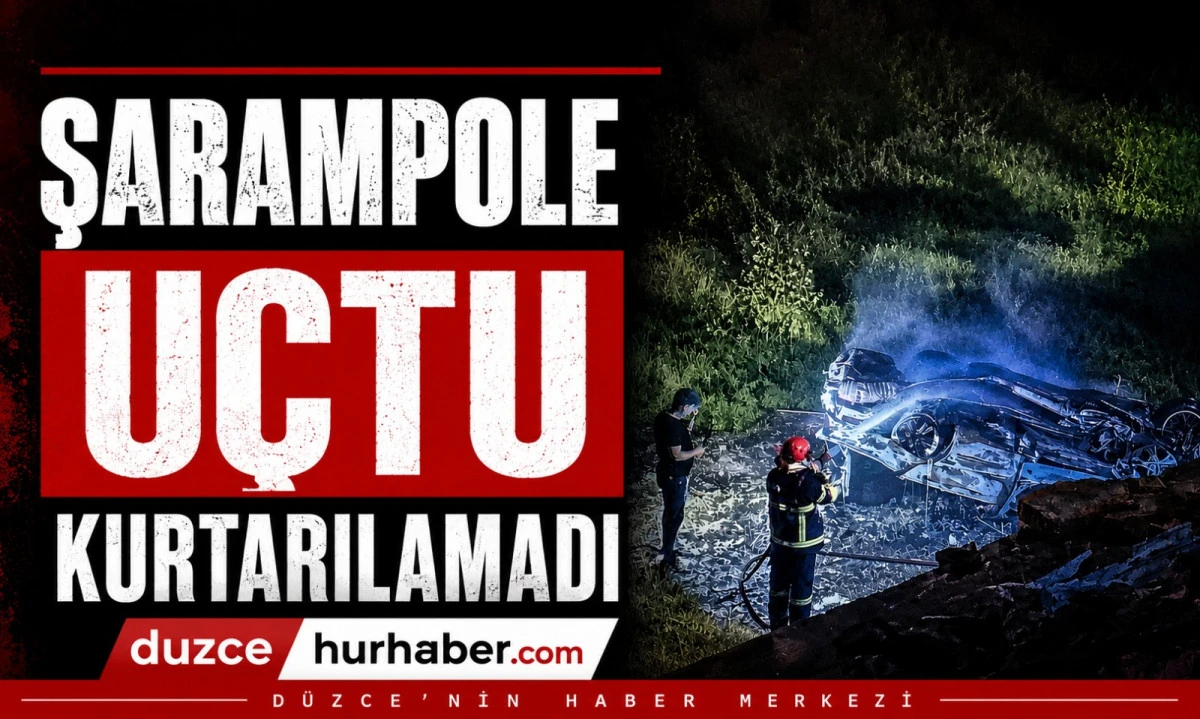 Kontrolden Çıkan Otomobil Alev Aldı: Sürücü Hayatını Kaybetti