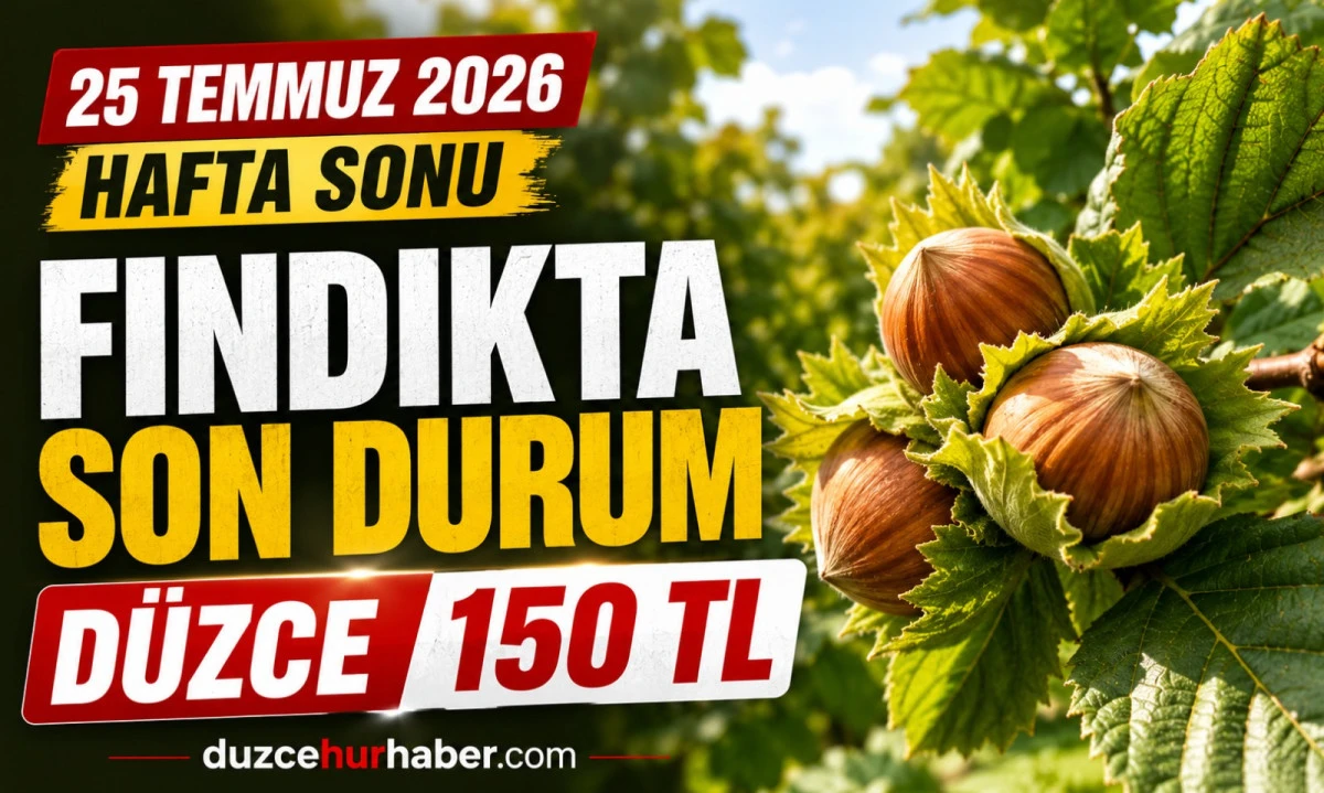 Düzce Fındık Fiyatları 25 Temmuz 2026: Hafta Sonunda Serbest Piyasada Son Durum