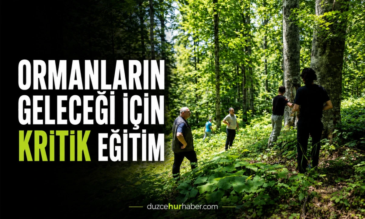 Düzce'de ormanların geleceği için kritik eğitim! Tohum ağaçları sahada belirlendi