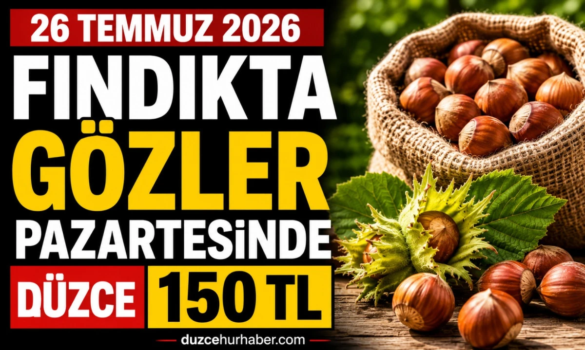 Düzce Fındık Fiyatları 26 Temmuz 2026: Gözler Yeni Haftanın İlk İşlem Gününde