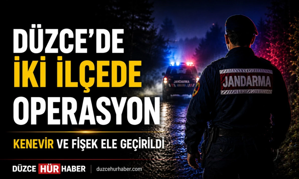 Düzce'de jandarmadan iki ilçede operasyon! Kenevir bitkileri ve fişek ele geçirildi