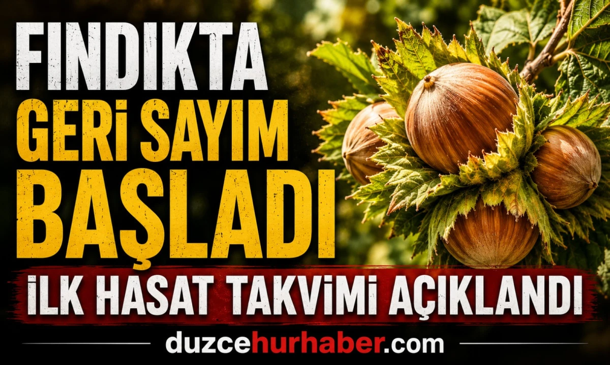 Fındıkta ilk hasat takvimi açıklandı! Gözler şimdi Düzce'ye çevrildi