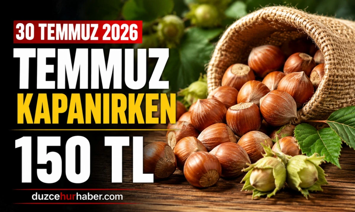 Düzce Fındık Fiyatları 30 Temmuz 2026: Temmuz Ayı Kapanırken Serbest Piyasada Son Durum