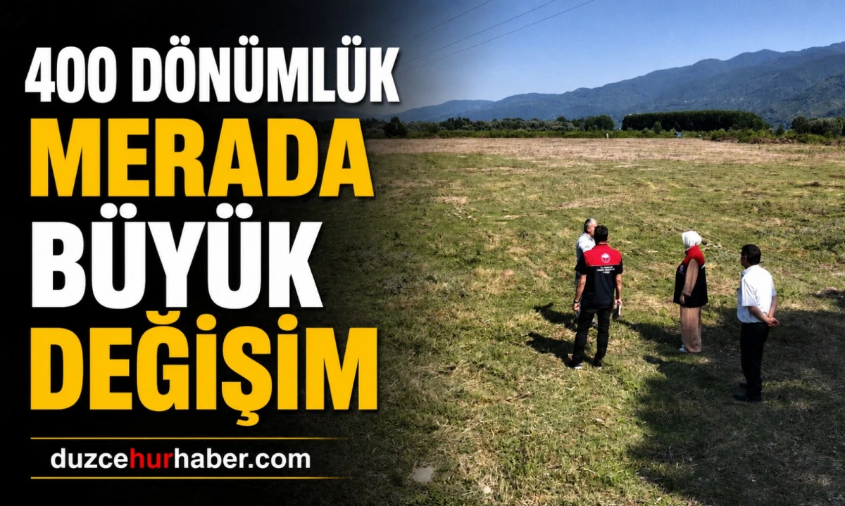 Düzce'de 400 dönümlük merada büyük dönüşüm! Otlatma kapasitesi iki katına çıktı