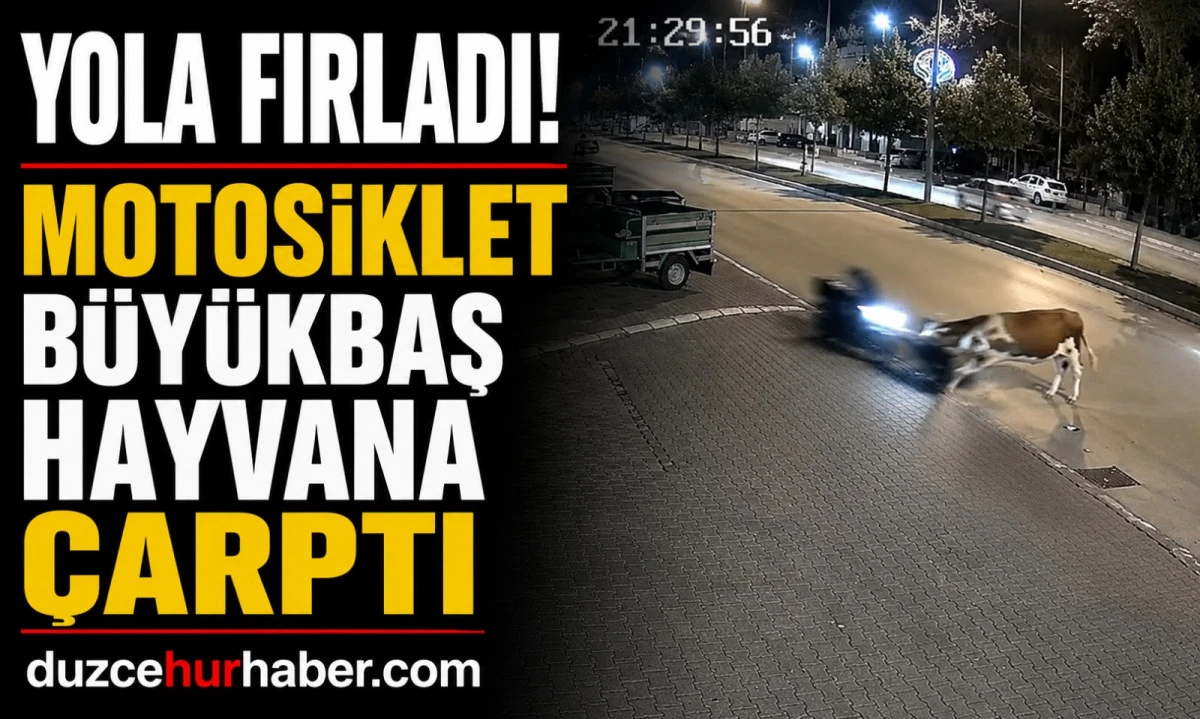 Bir anda yola çıktı! Düzce'de motosikletli ölümden döndü
