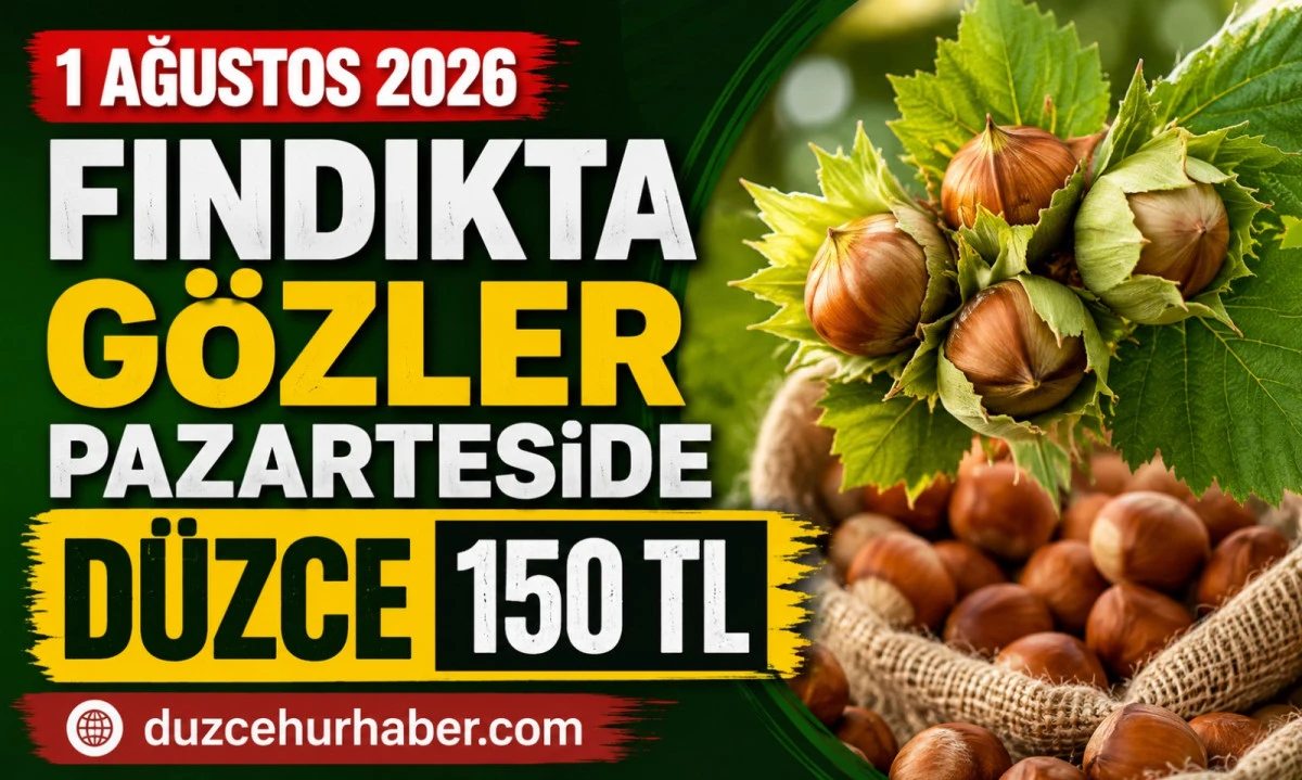 Düzce Fındık Fiyatları 1 Ağustos 2026: Gözler 3 Ağustos Pazartesi Piyasasında