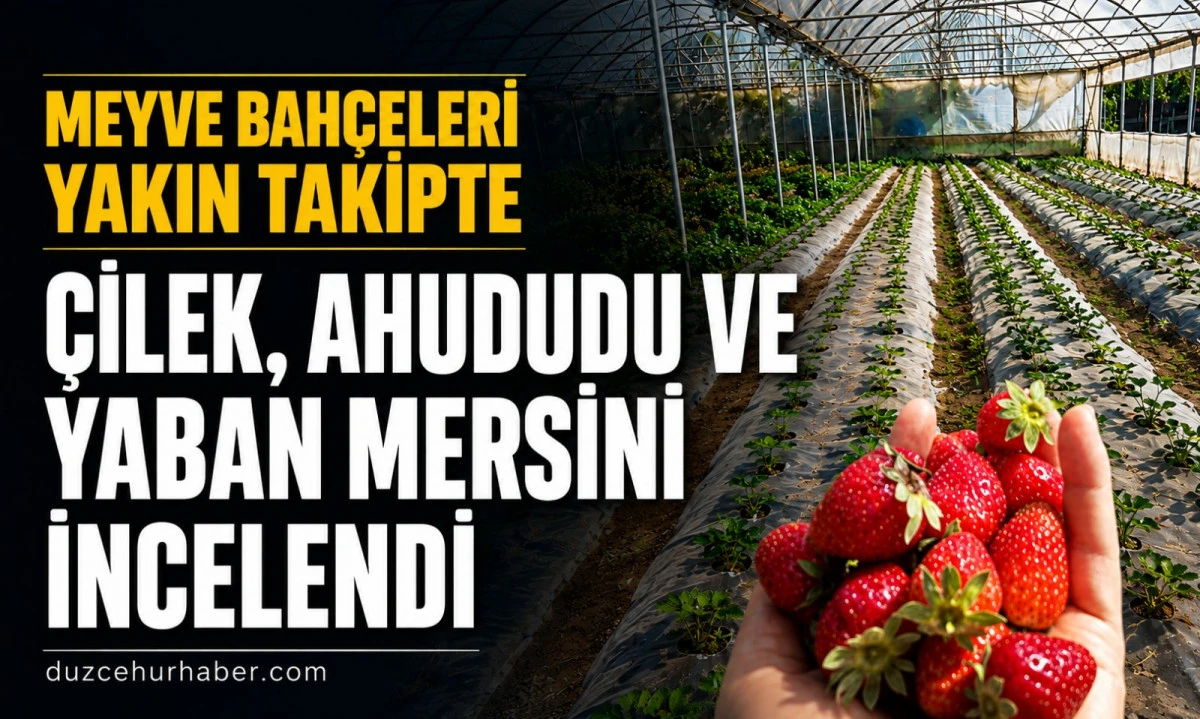 Düzce'de üreticilere sahada birebir destek! Meyve bahçeleri tek tek incelendi
