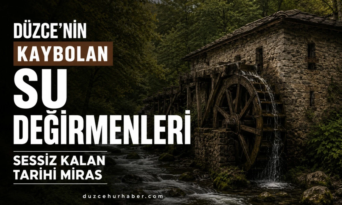 Düzce'nin kaybolan su değirmenleri: Sessiz kalan tarihi miras