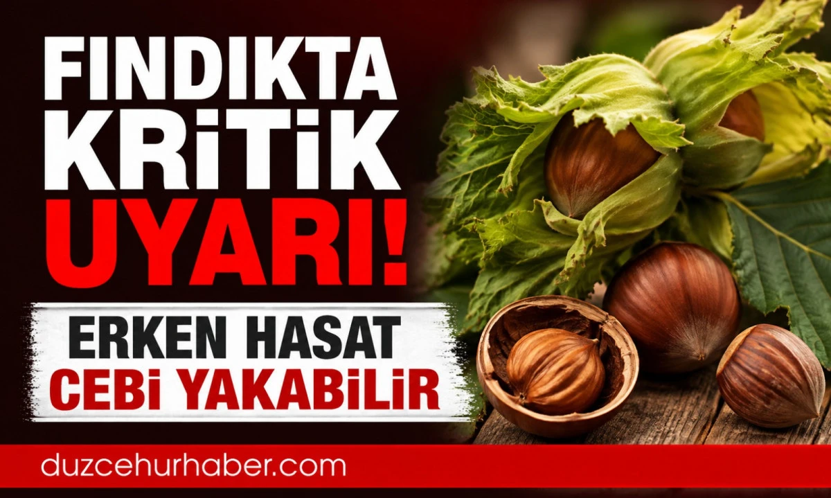 Fındıkta kritik uyarı! Erken hasat üreticinin cebini yakabilir