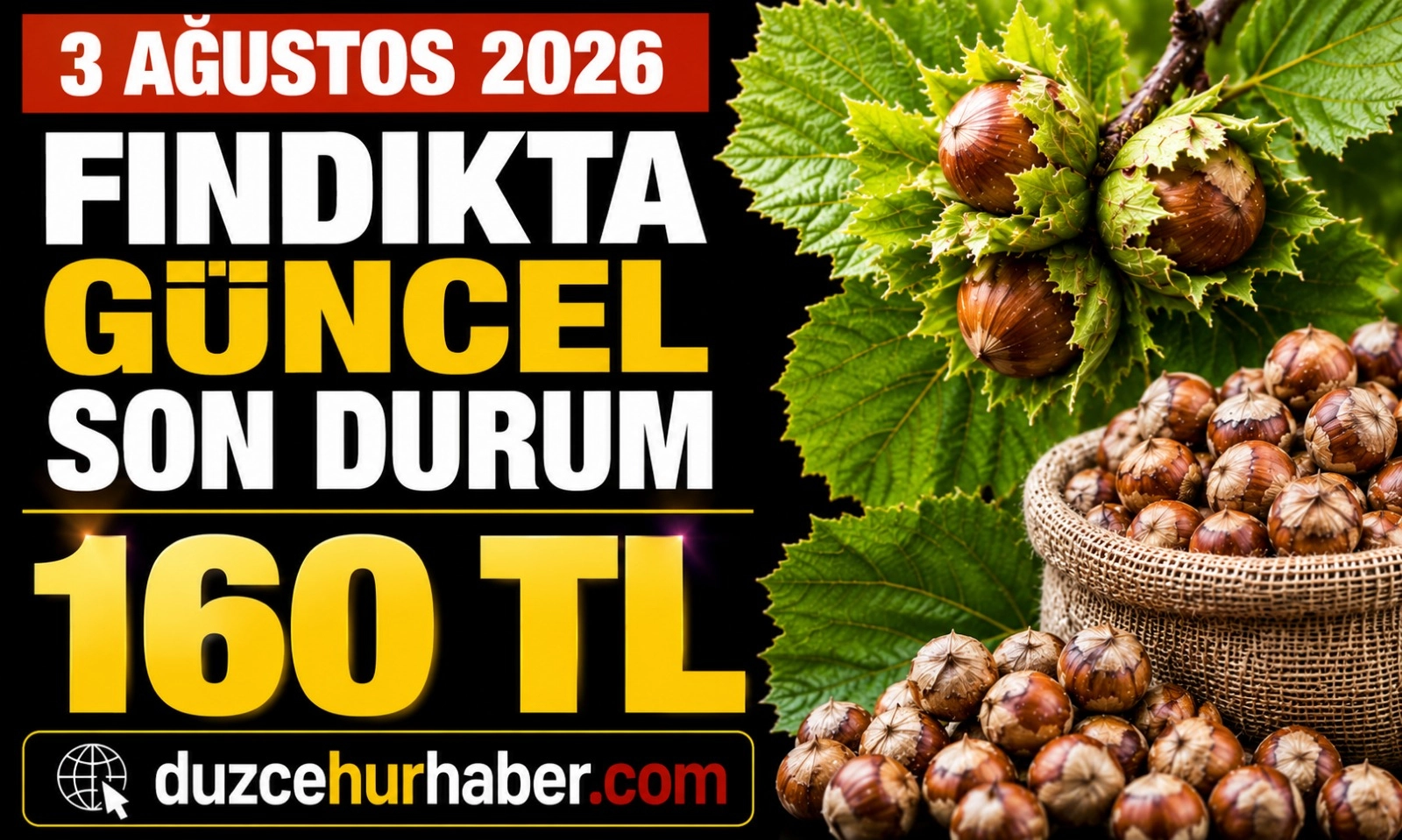 Düzce Fındık Fiyatları 3 Ağustos 2026: Beklenen Artış Geldi! Düzce 160 TL'ye Yükseldi