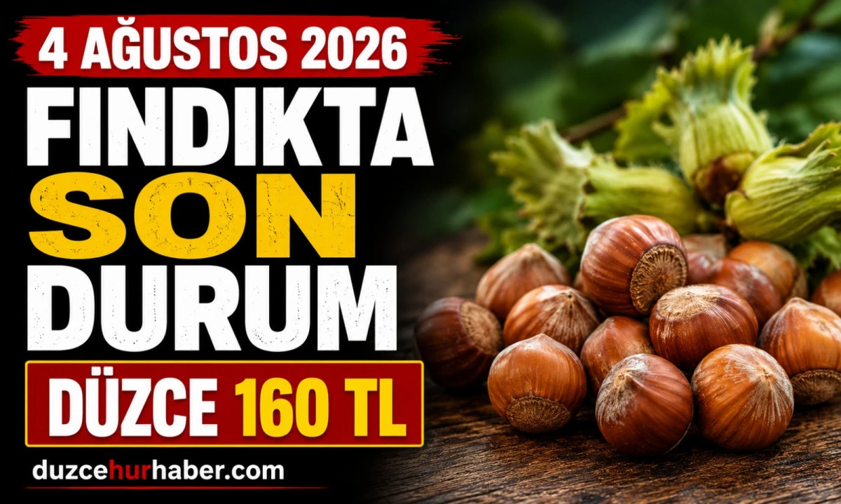 Düzce Fındık Fiyatları 4 Ağustos 2026: Serbest Piyasada Son Durum