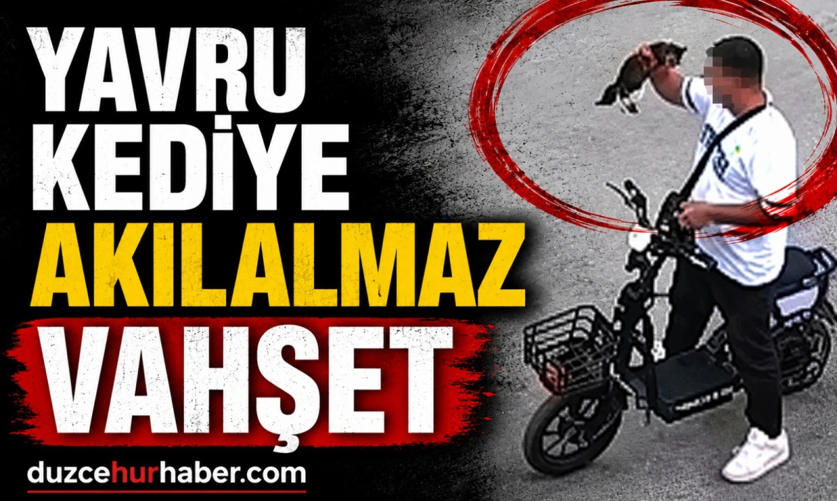 Kan donduran olay! Yavru Kediyi Önce Öptü, Sonra Boğdu! Gözaltına Alındı