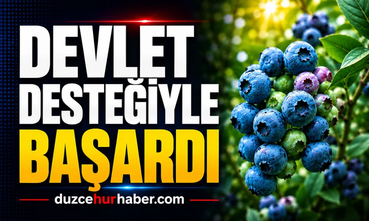5 yıl önce Düzce'ye geldi, şimdi 3 ton rekolte hedefliyor