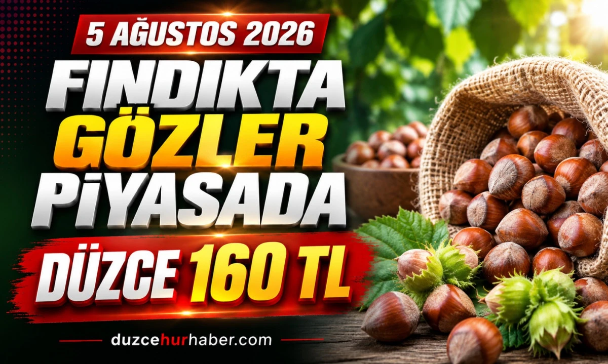 Düzce Fındık Fiyatları 5 Ağustos 2026: Piyasada Gözler Güncel Fiyatlarda