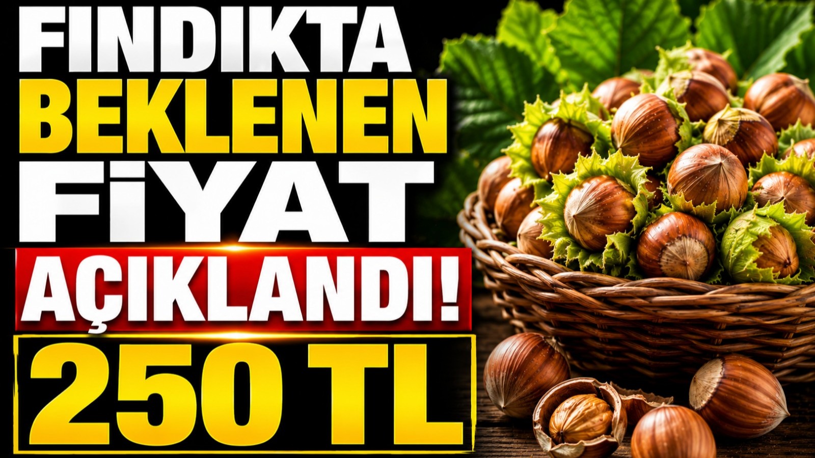 TMO fındık alım fiyatını açıkladı! Düzceli üreticiye 250 TL