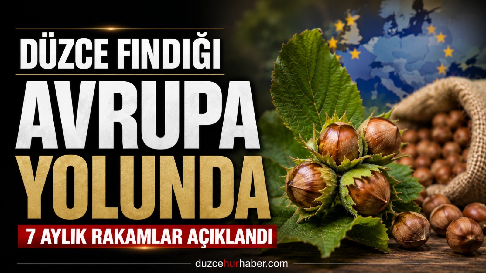Düzce fındığı Avrupa yolunda: 7 aylık ihracat dikkat çekti