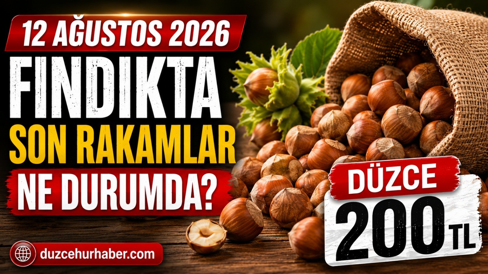Düzce Fındık Fiyatları 12 Ağustos 2026: Serbest Piyasada Son Rakamlar