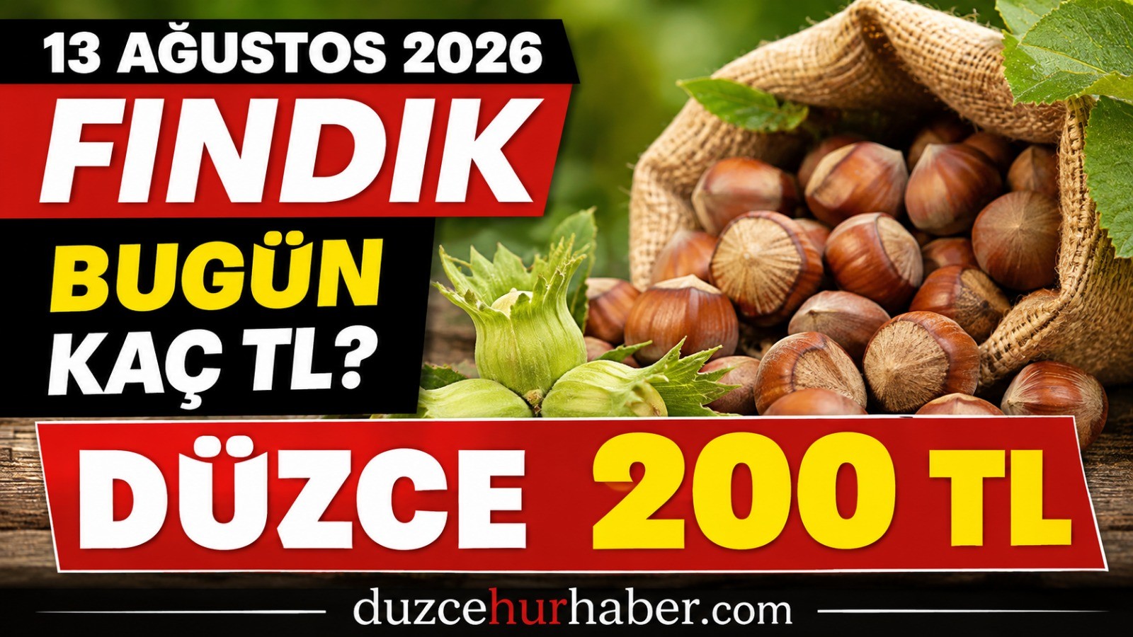 Düzce Fındık Fiyatları 13 Ağustos 2026: Fındık Kaç TL, Güncel Fiyat Ne Kadar?