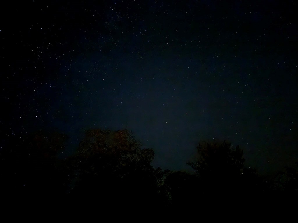 duzcede-perseid-soleni-fotografcilar-sabaha-kadar-nobette-18-012053