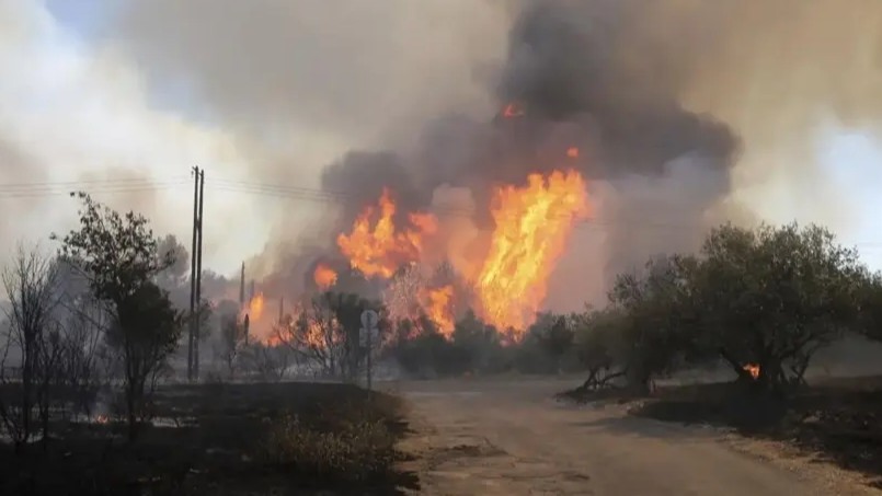 Fransa kavruluyor: 80 bölgede turuncu alarm, sıcaklık 40 dereceye dayanıyor