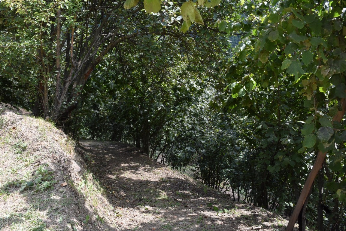 8-ay-once-ogullarini-kaybetmislerdi-ilmek-ailesine-bir-aci-haber-daha-4-100538