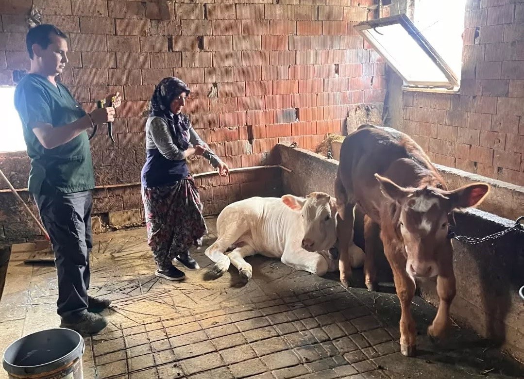duzcede-buzagilar-tek-tek-kayit-altina-alindi-3-123428