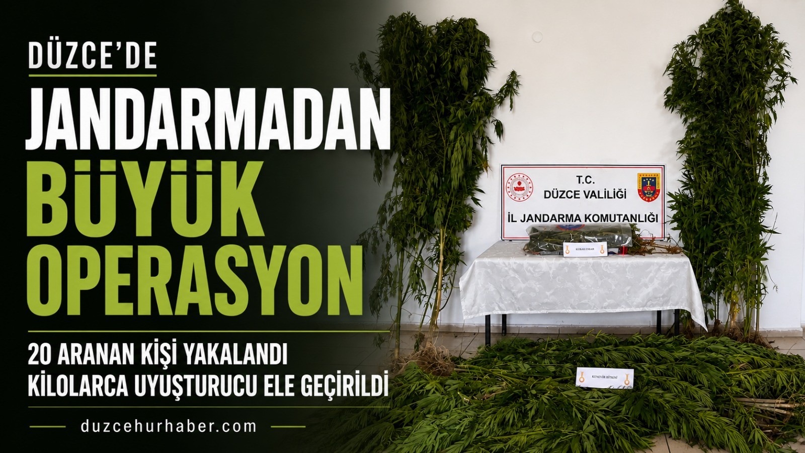 Düzce’de jandarmadan bir haftada büyük operasyon: 20 aranan kişi yakalandı