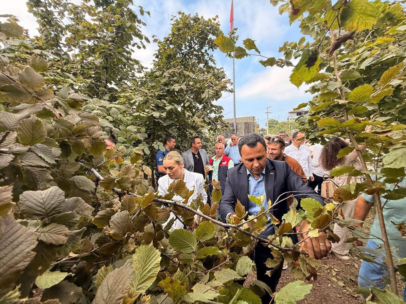 akcakocada-findik-hasadi-senligi-ureticiler-bahceye-girdi-1-030904