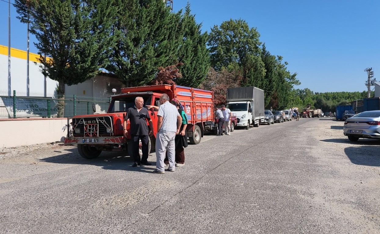 duzceli-findik-ureticisine-iki-onemli-mesaj-tamamina-talibiz-ve-birkac-hafta-sabredin-4-034632