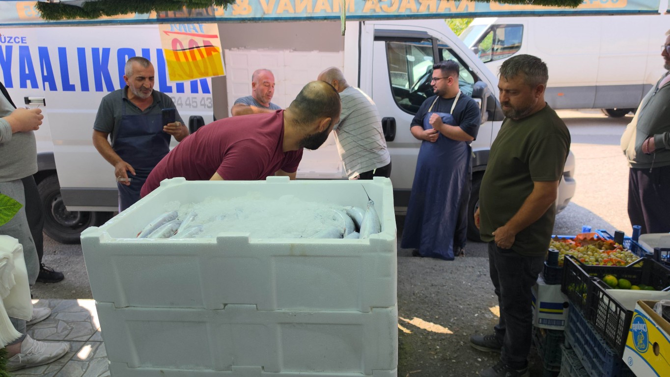duzcede-palamut-100-tlden-tezgha-cikti-vatandas-daha-gelmeden-siraya-girdi-3-013802