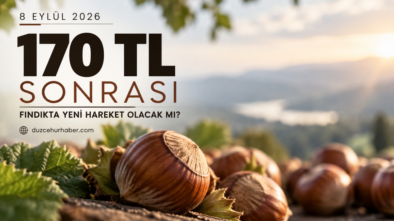 Düzce Fındık Fiyatları 8 Eylül 2026: 170 TL Sonrası Piyasada Son Durum