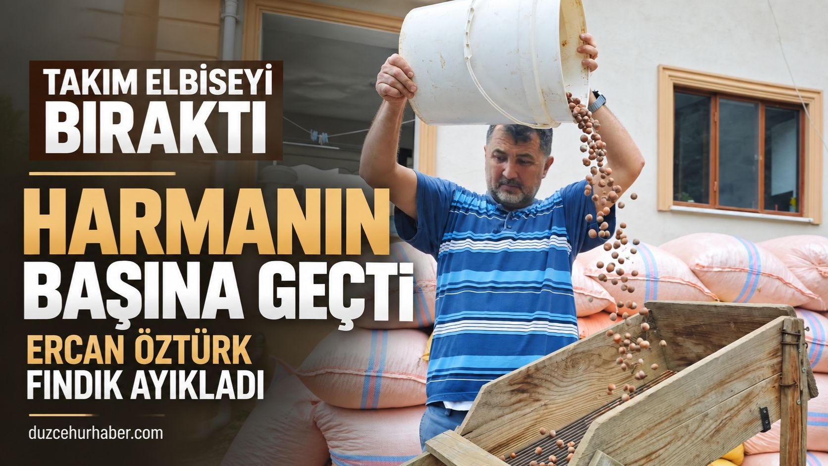 Takım elbiseyi çıkardı, fındık harmanına girdi: Ercan Öztürk'ten dikkat çeken kareler
