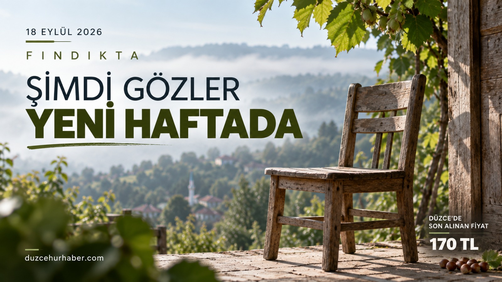 Düzce Fındık Fiyatları 18 Eylül 2026: Hafta Kapanırken Fındık Kaç TL?