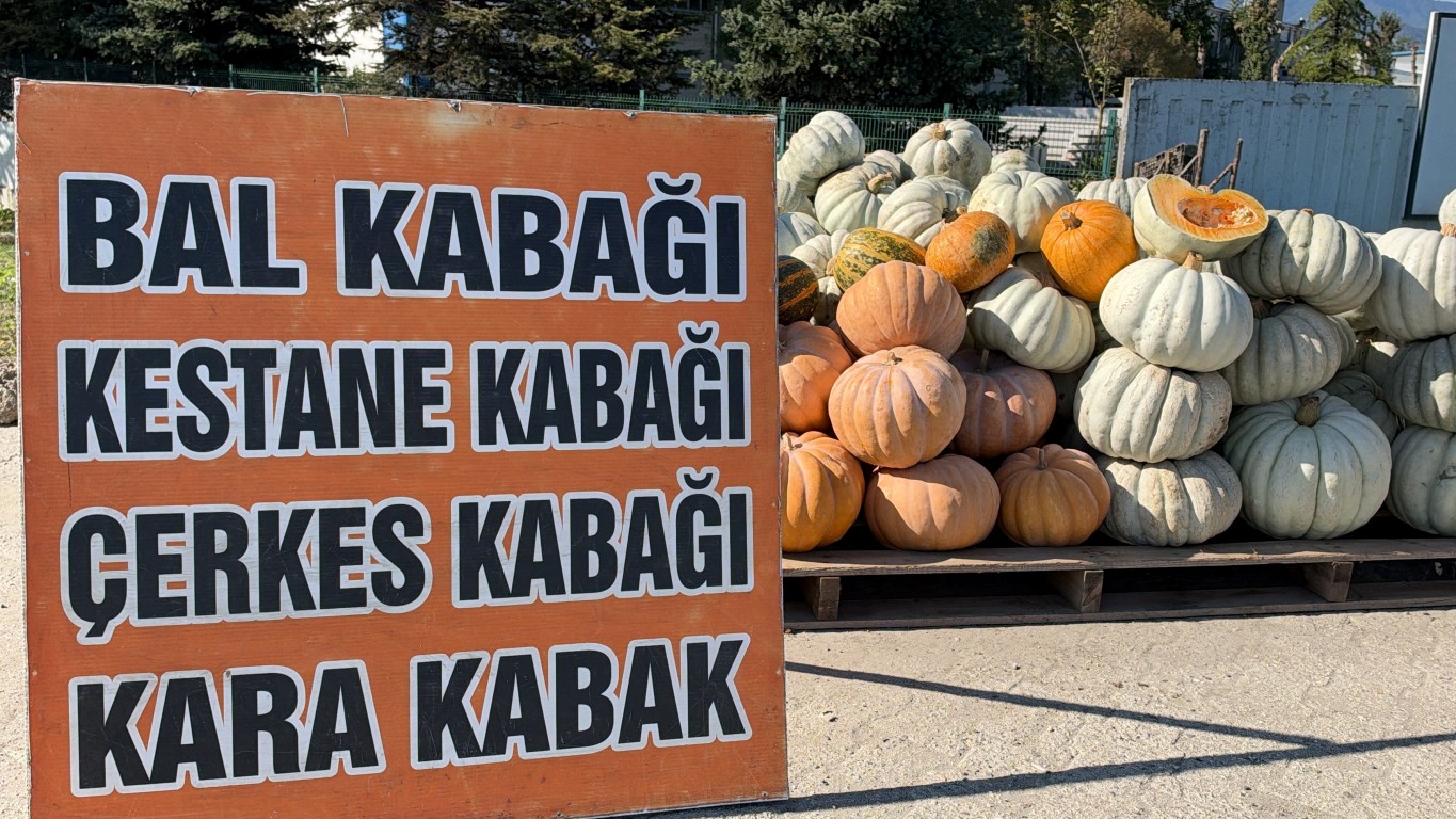 duzce-kabagi-icin-otobandan-cikiyorlar-unu-avrupaya-kadar-ulasti-2-050151