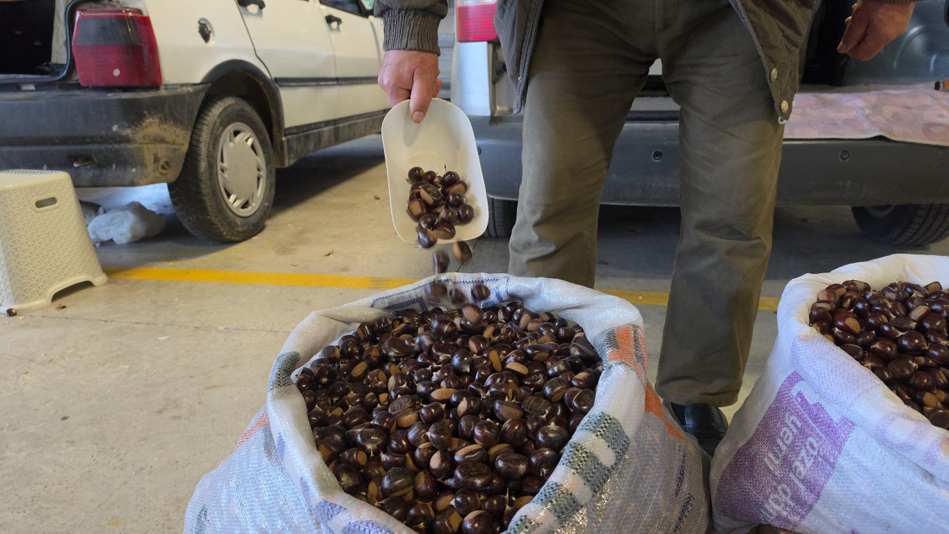 Hamidiye’de kestane pazarı hareketlendi: Yeni sezon böyle başladı