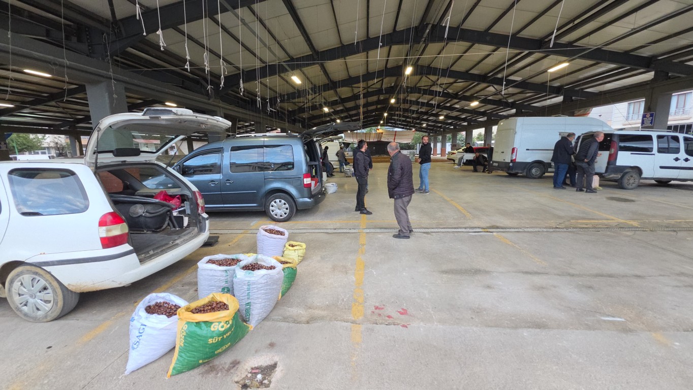 duzcenin-meshur-kestanesi-pazara-indi-ilk-fiyat-200-tlden-basliyor-3-053636