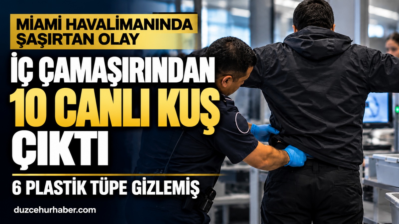 Havalimanında sıra dışı kaçakçılık girişimi: 10 canlı kuşu böyle saklamış