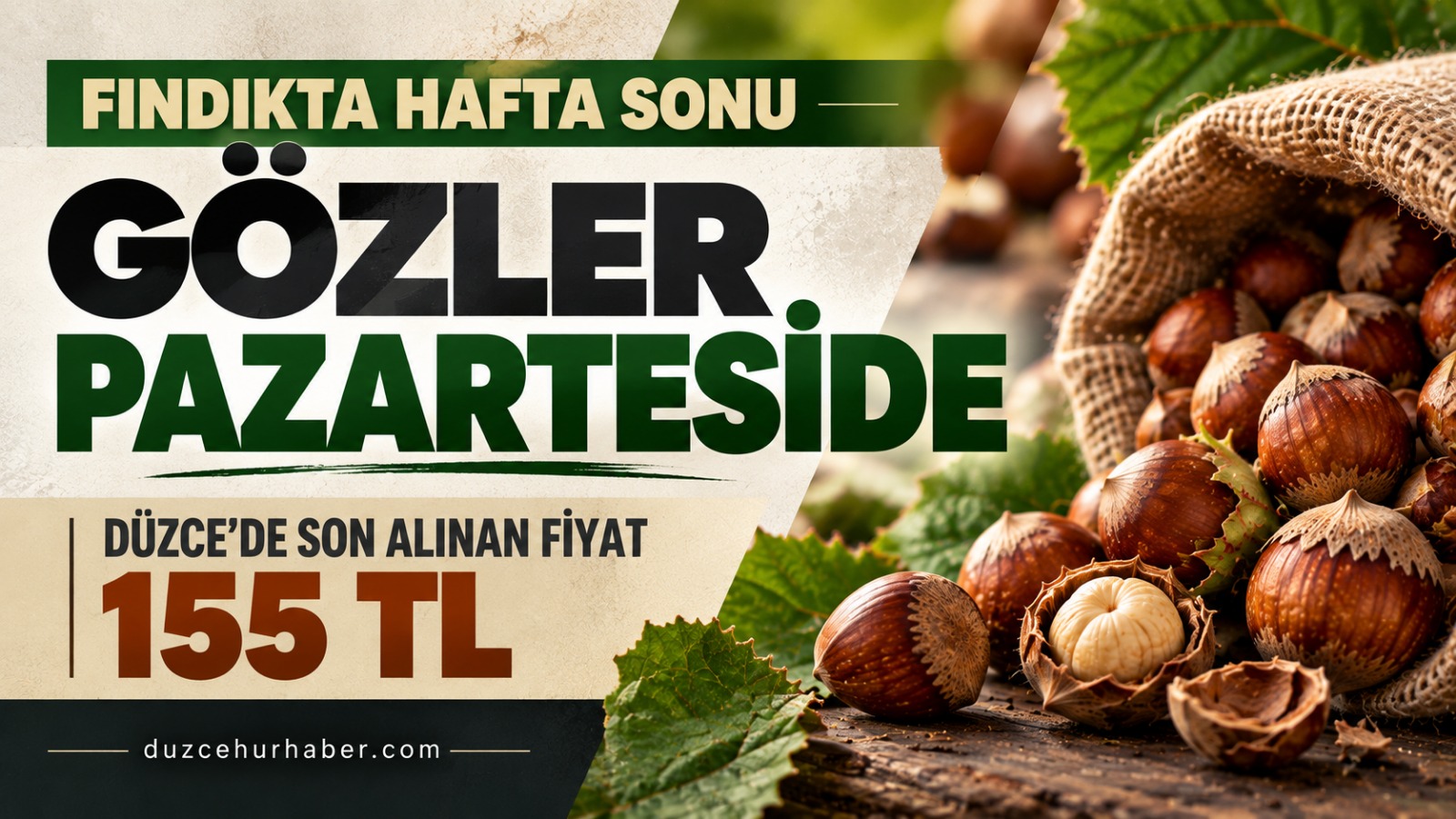 Fındıkta gözler pazartesiye çevrildi: Düzce'de son alınan fiyat 155 TL