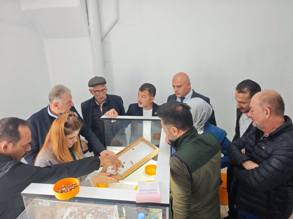 tmo-genel-muduru-duzcede-findik-alimlarini-inceledi-ureticinin-talepleri-masada-1-071401