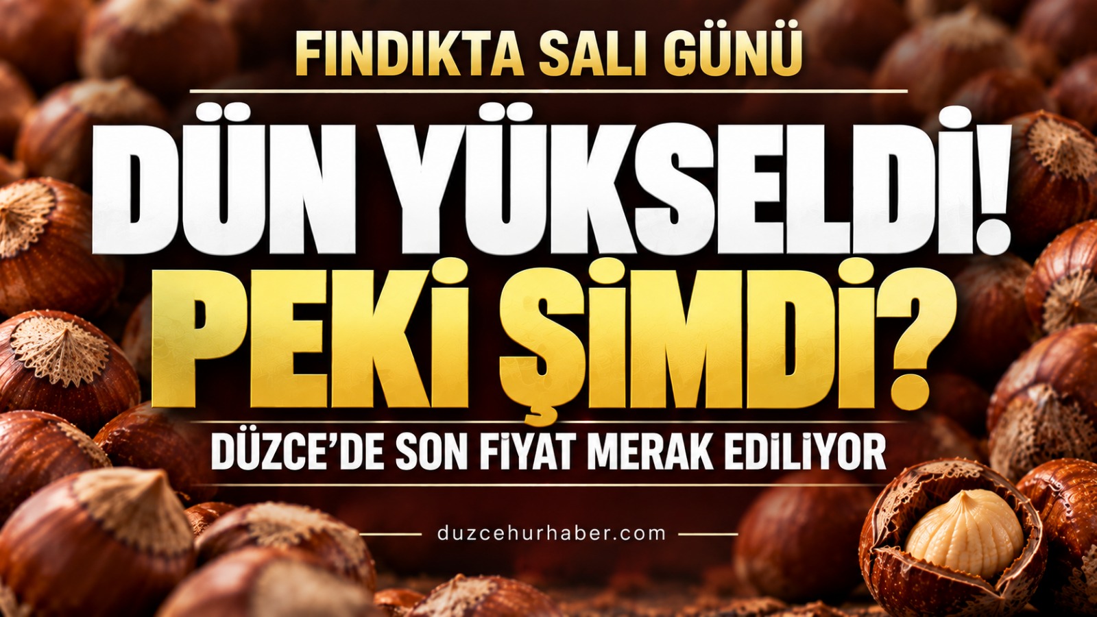 Düzce fındık fiyatları 27 Ekim 2026: Dünkü yükseliş sonrası son tablo